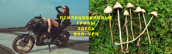 гидропоника Абдулино