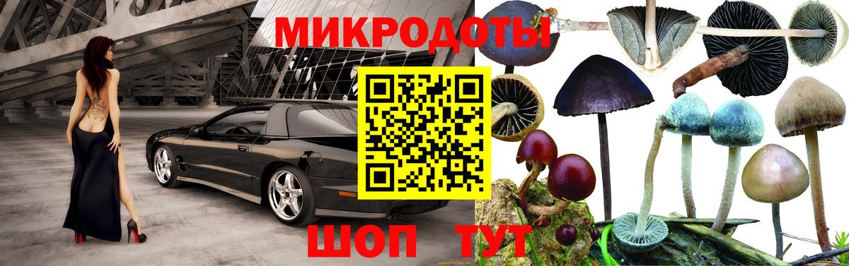 Галлюциногенные грибы Magic Shrooms Абинск