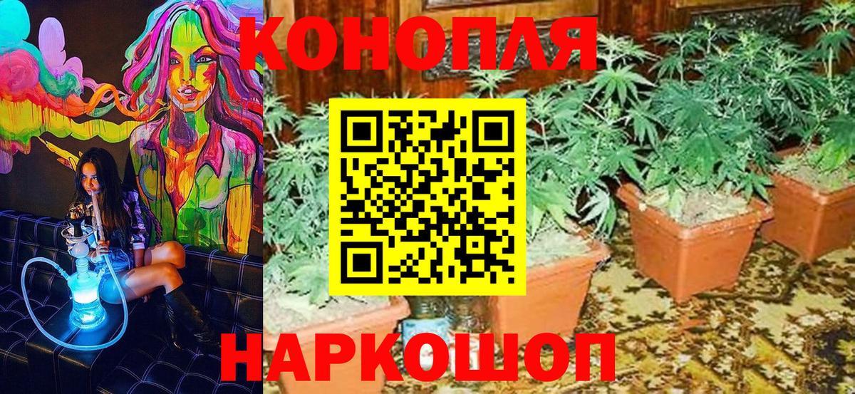 Канабис план Абинск